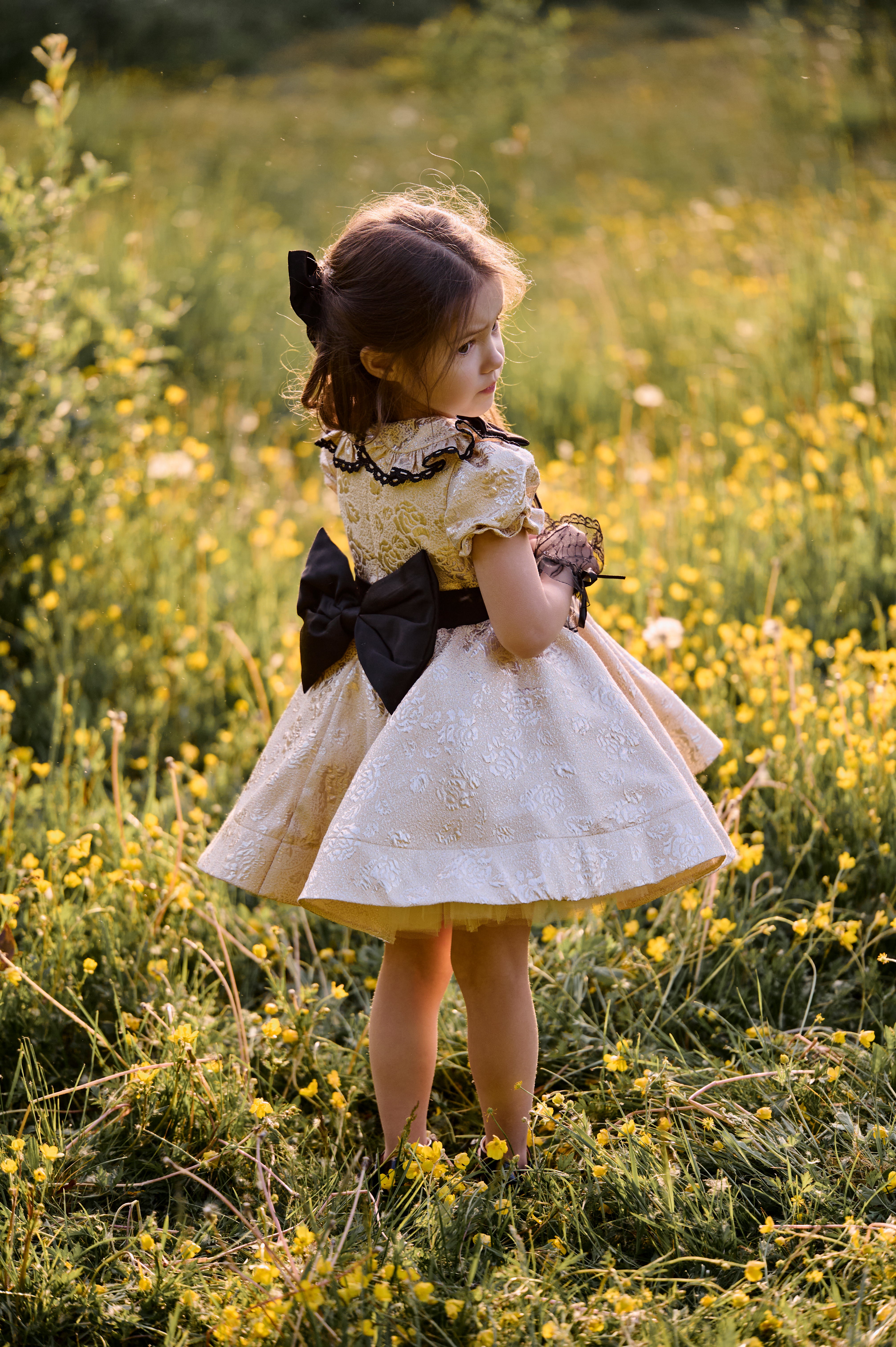 The Gold Dress