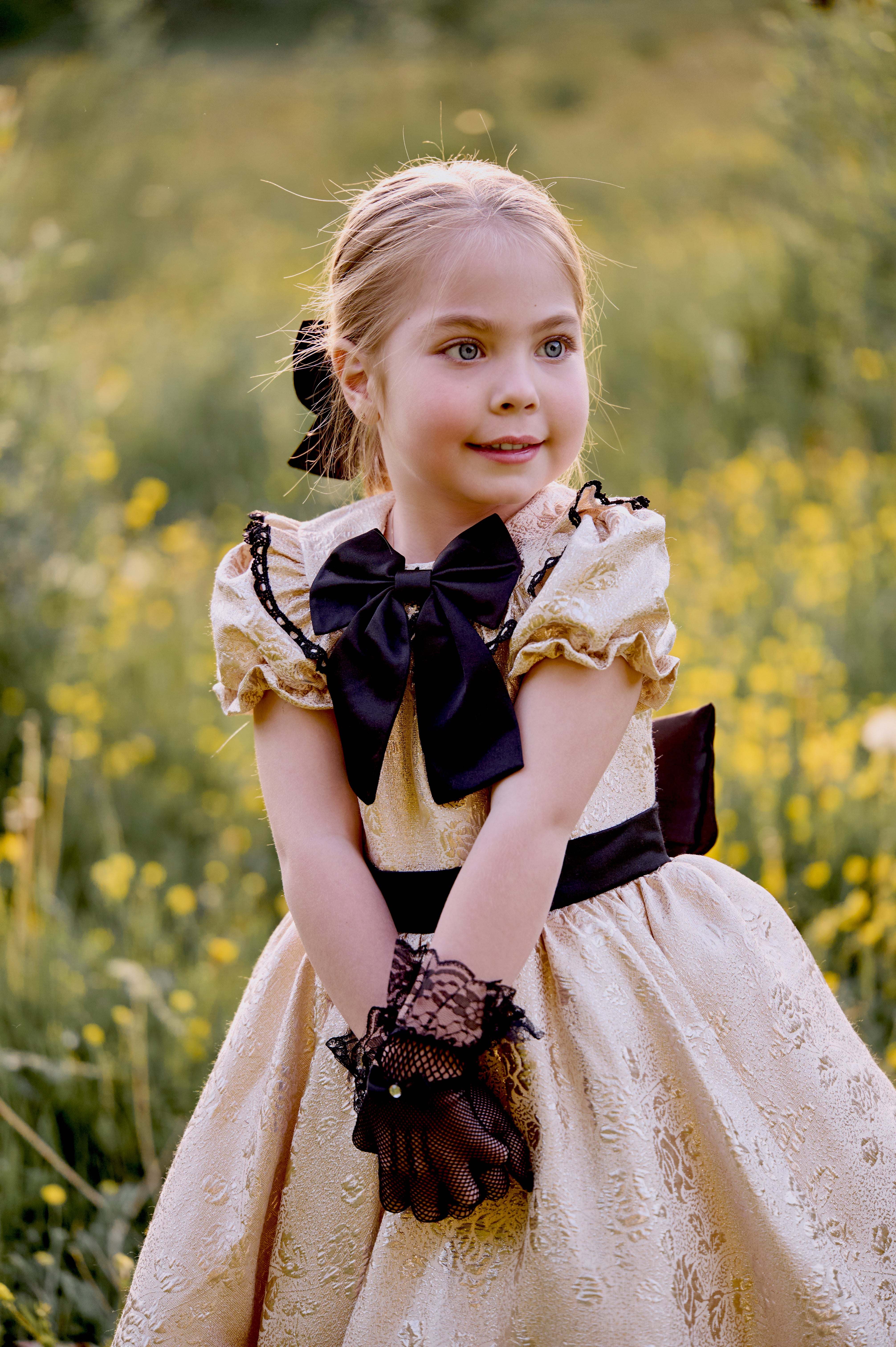 The Gold Dress