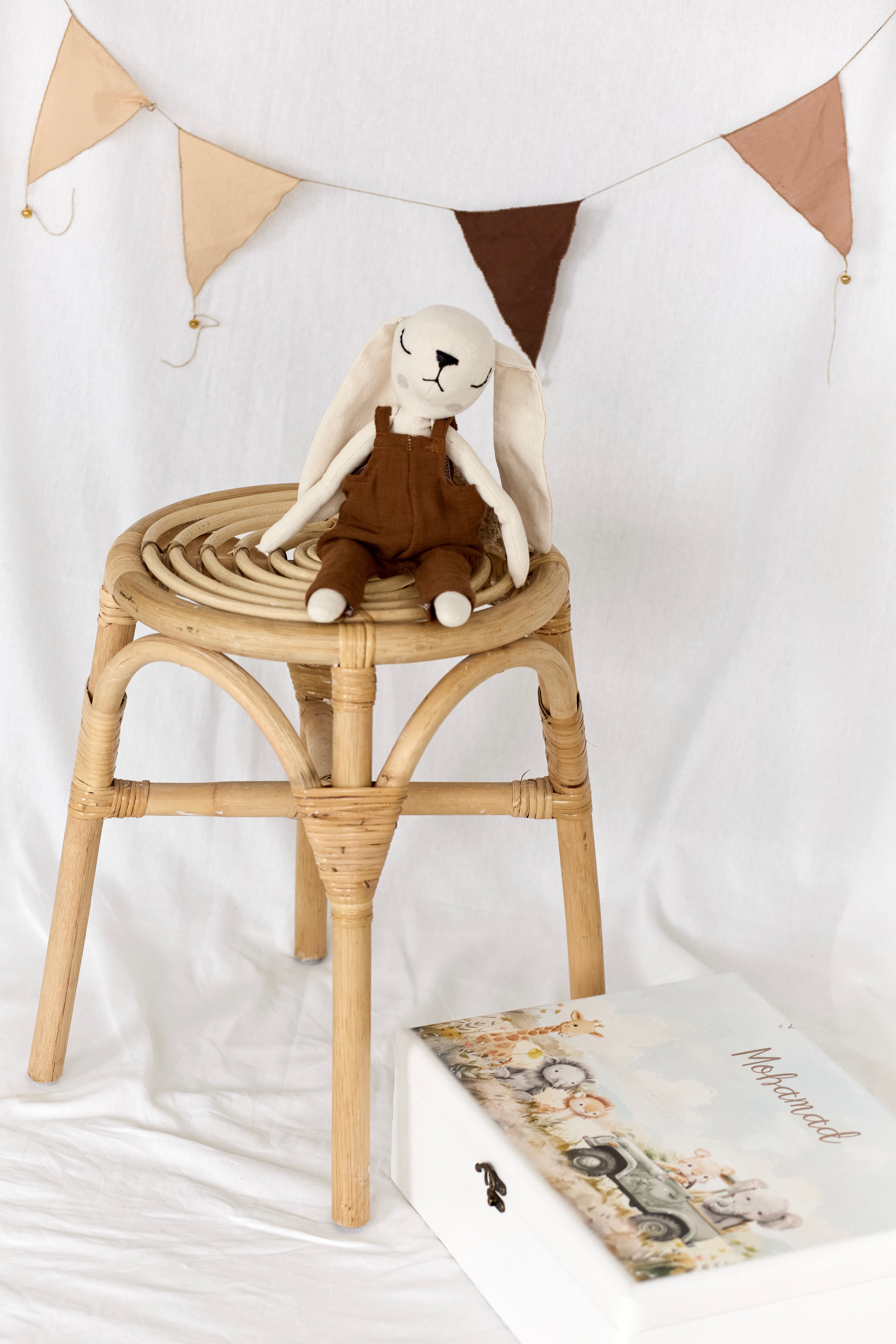Boy Rabbit Toy