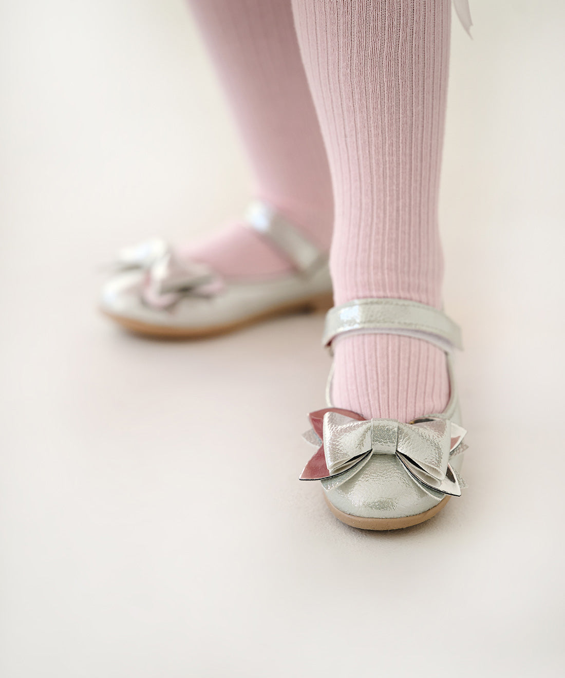 The Silver Shoes