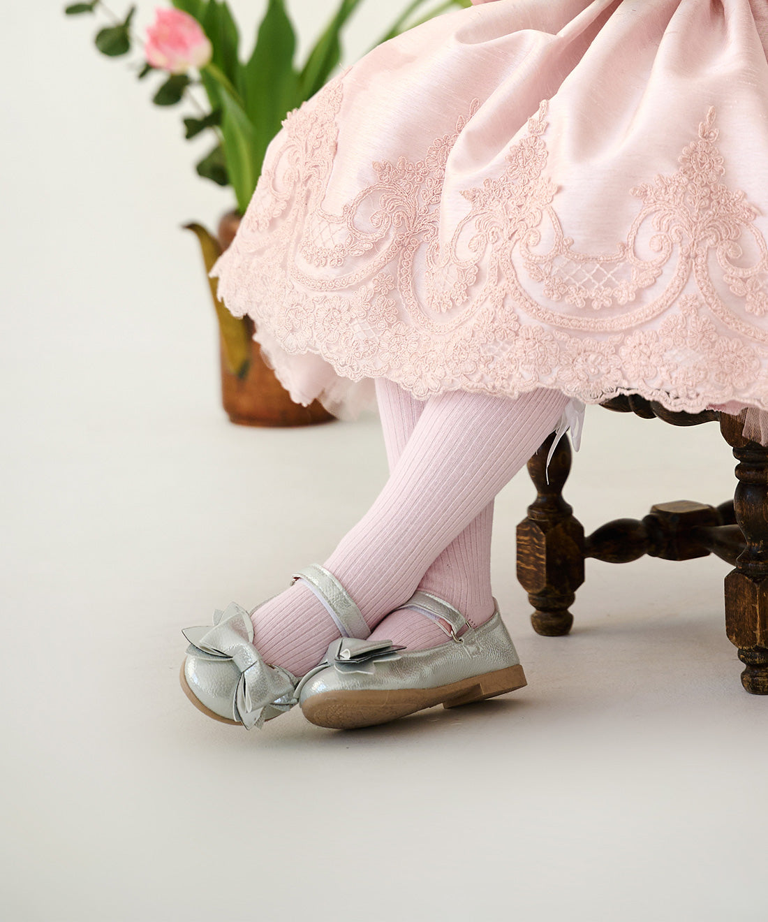 The Silver Shoes