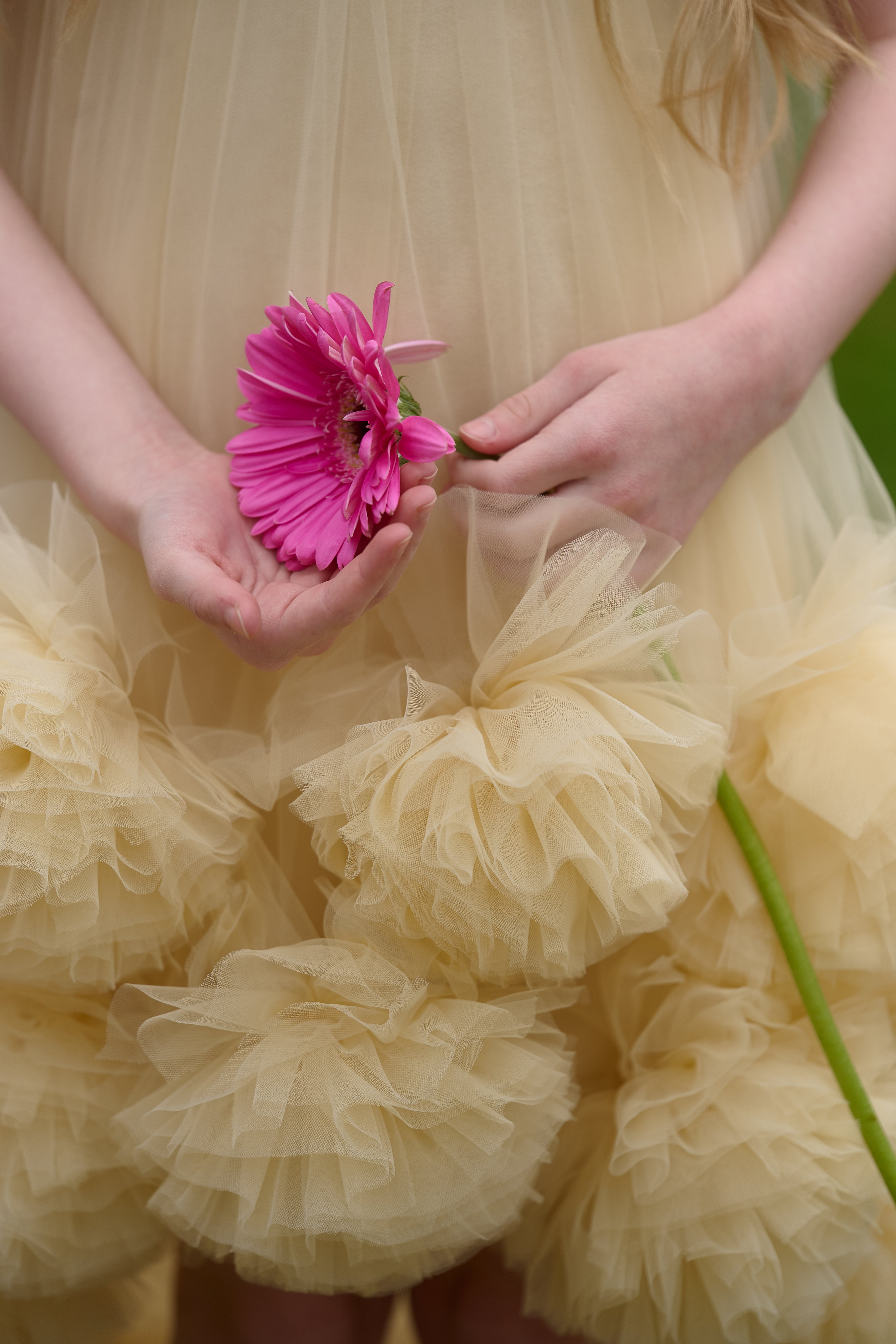 Golden Bloom Dress