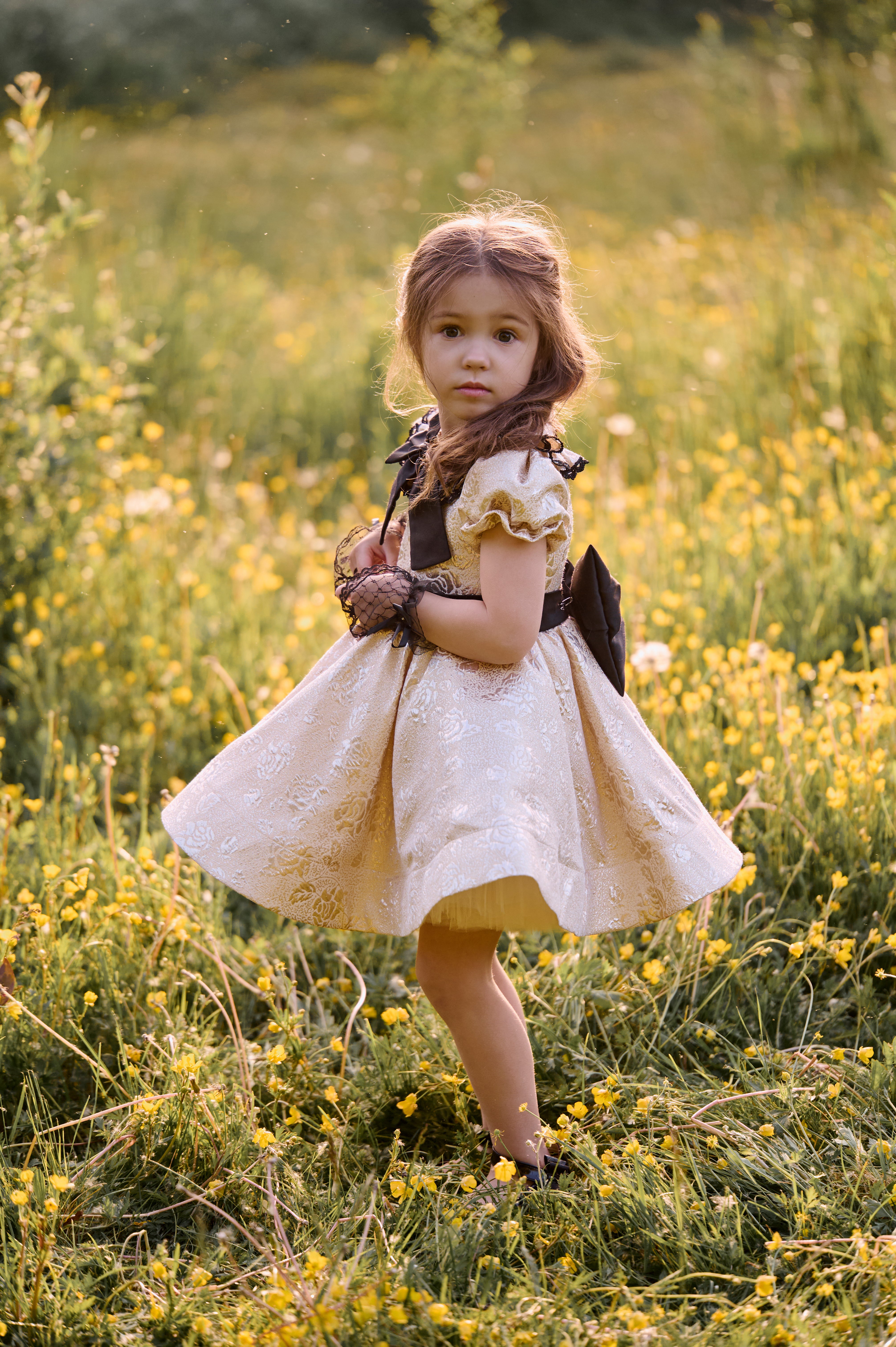 The Gold Dress
