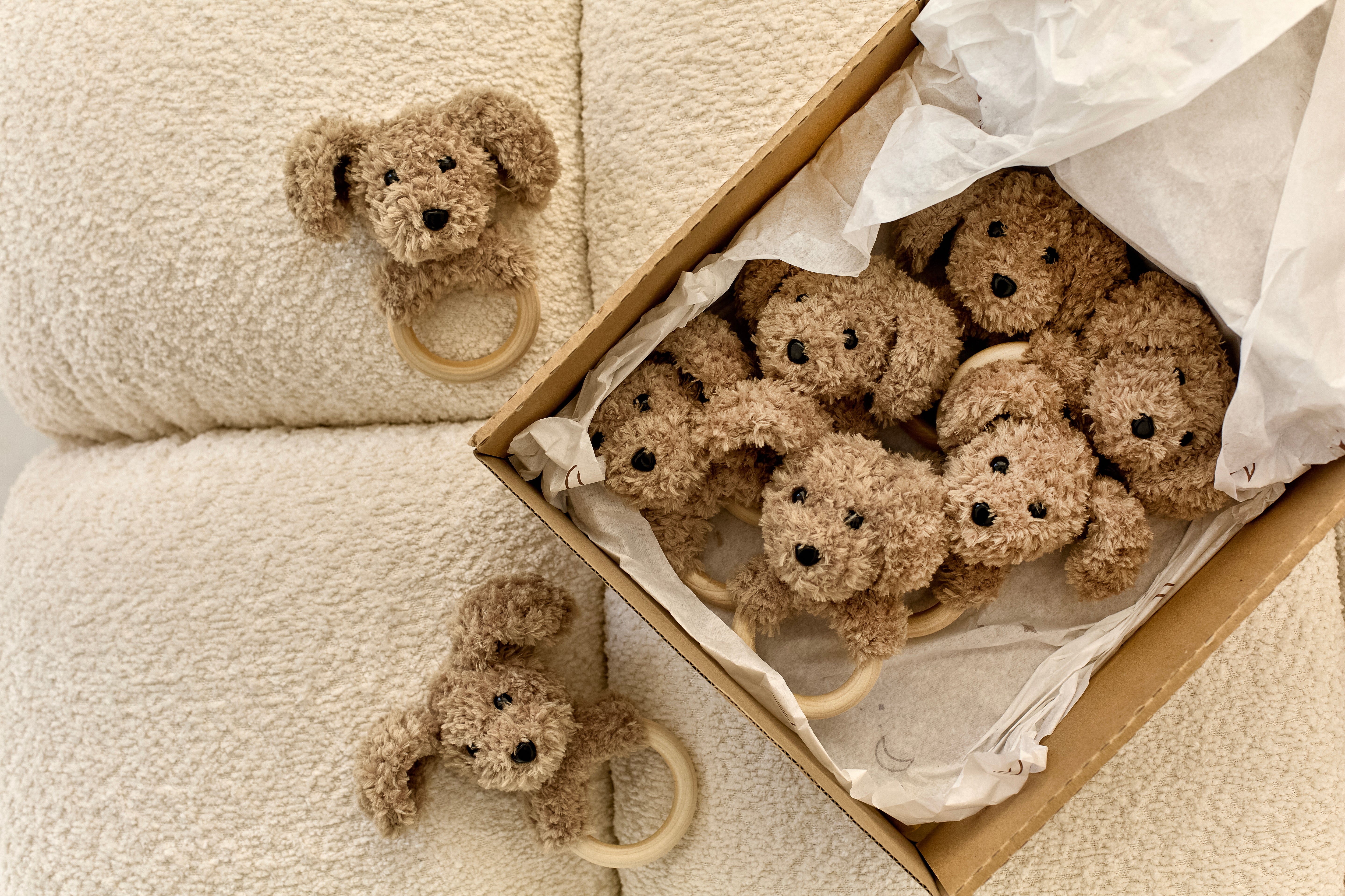 Dog Toy