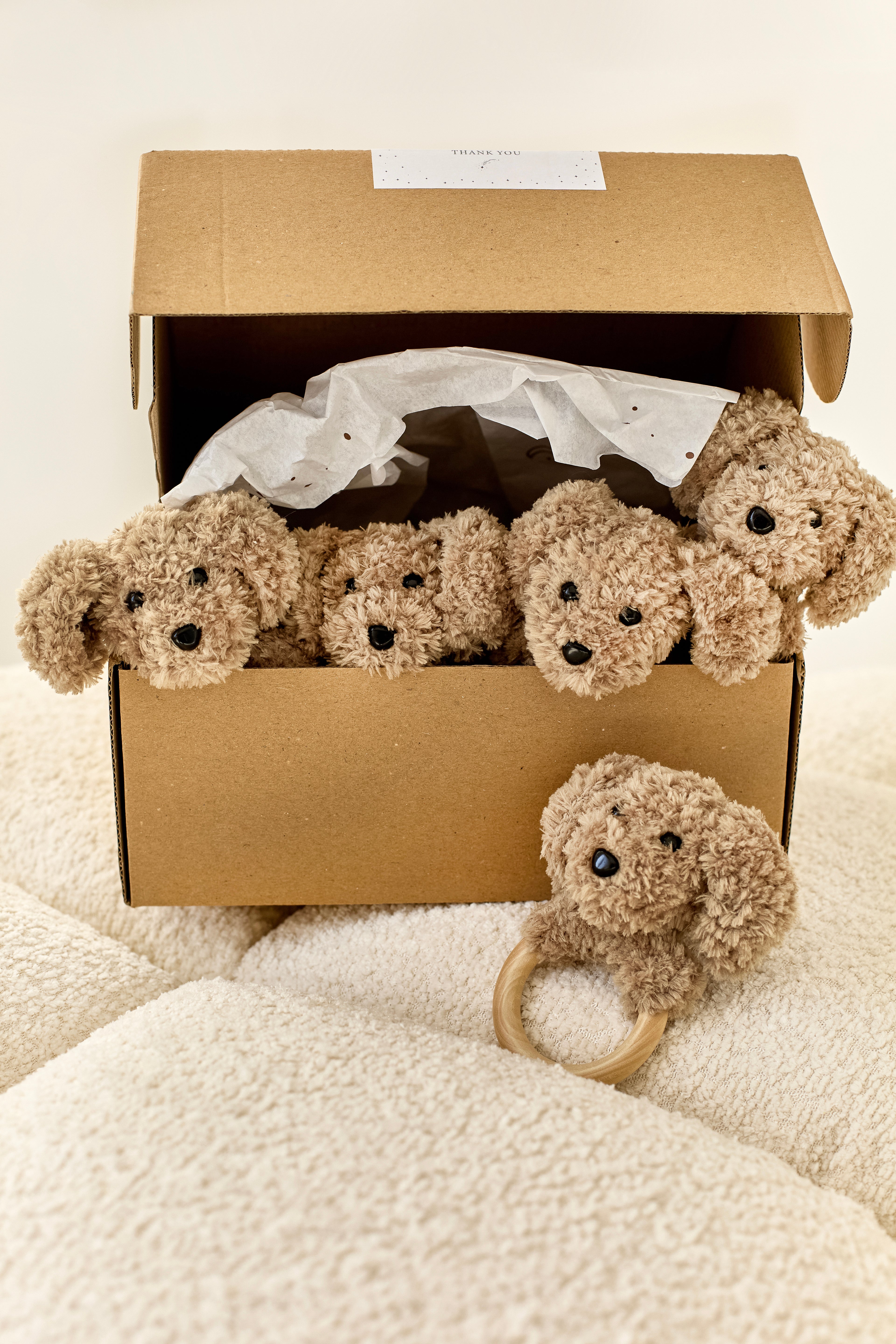 Dog Toy