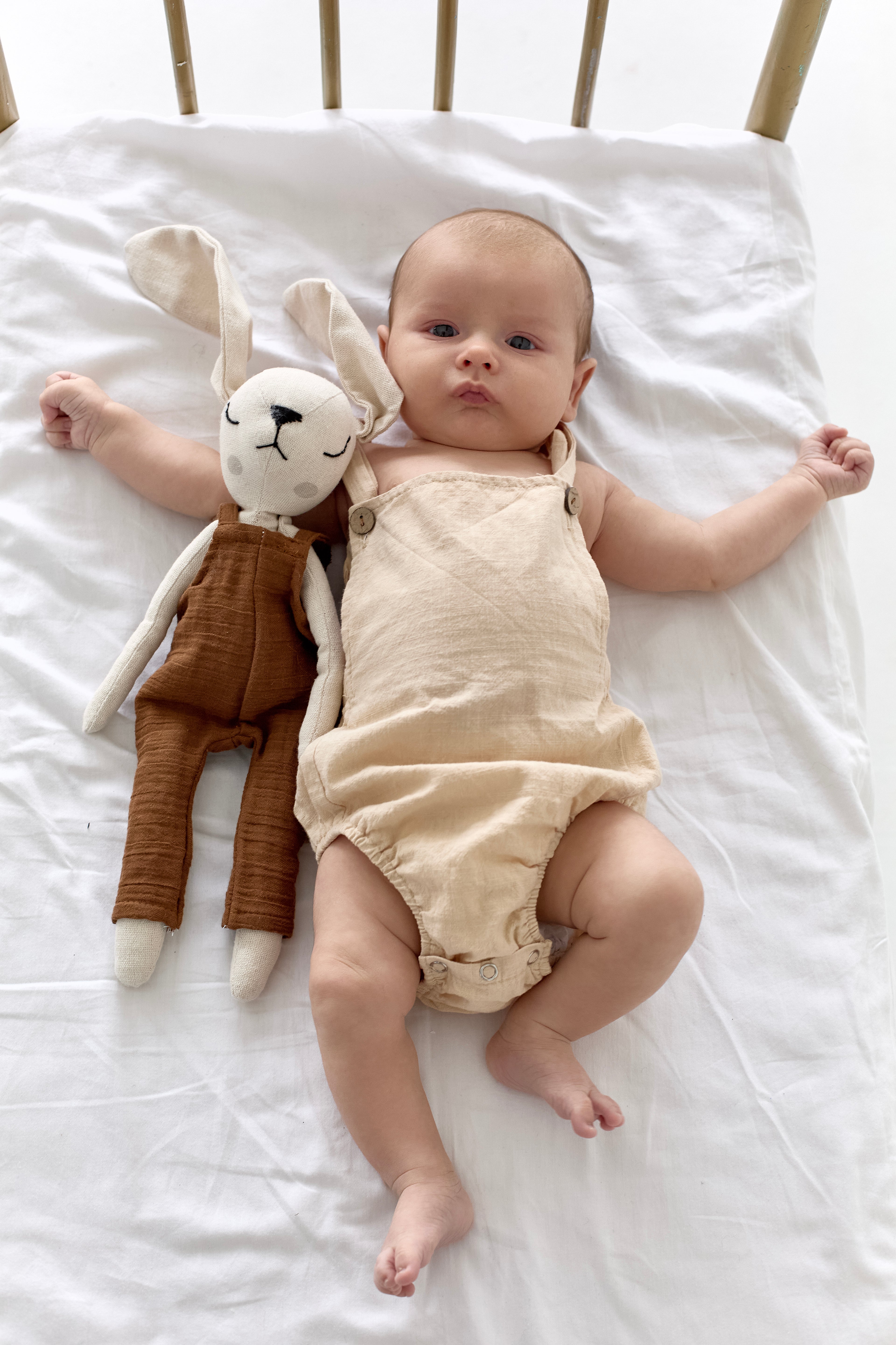 Boy Rabbit Toy